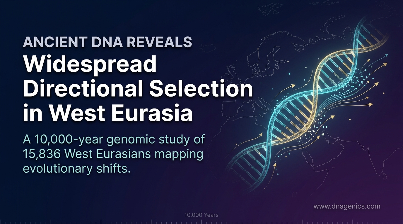 Graphic of directional selection signals across West Eurasia in ancient DNA