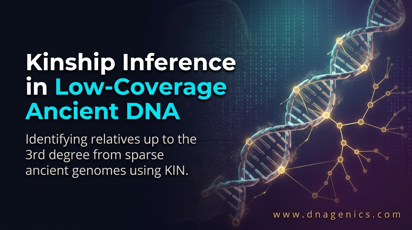 Diagram illustrating the KIN method inferring relatedness from low-coverage ancient DNA