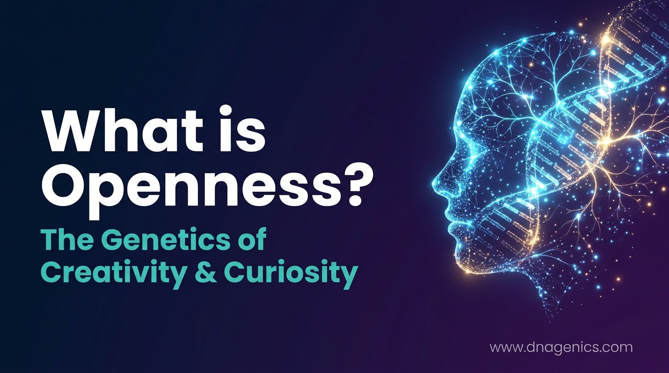 Cover image for What is Openness?
