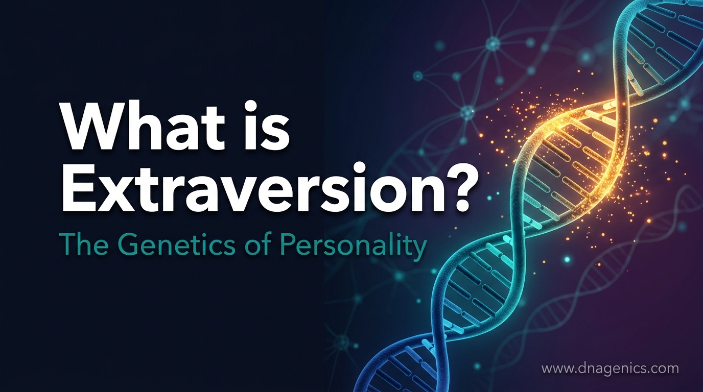 Cover image for What is Extraversion?