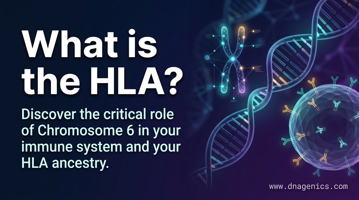 Cover image for What is the HLA?