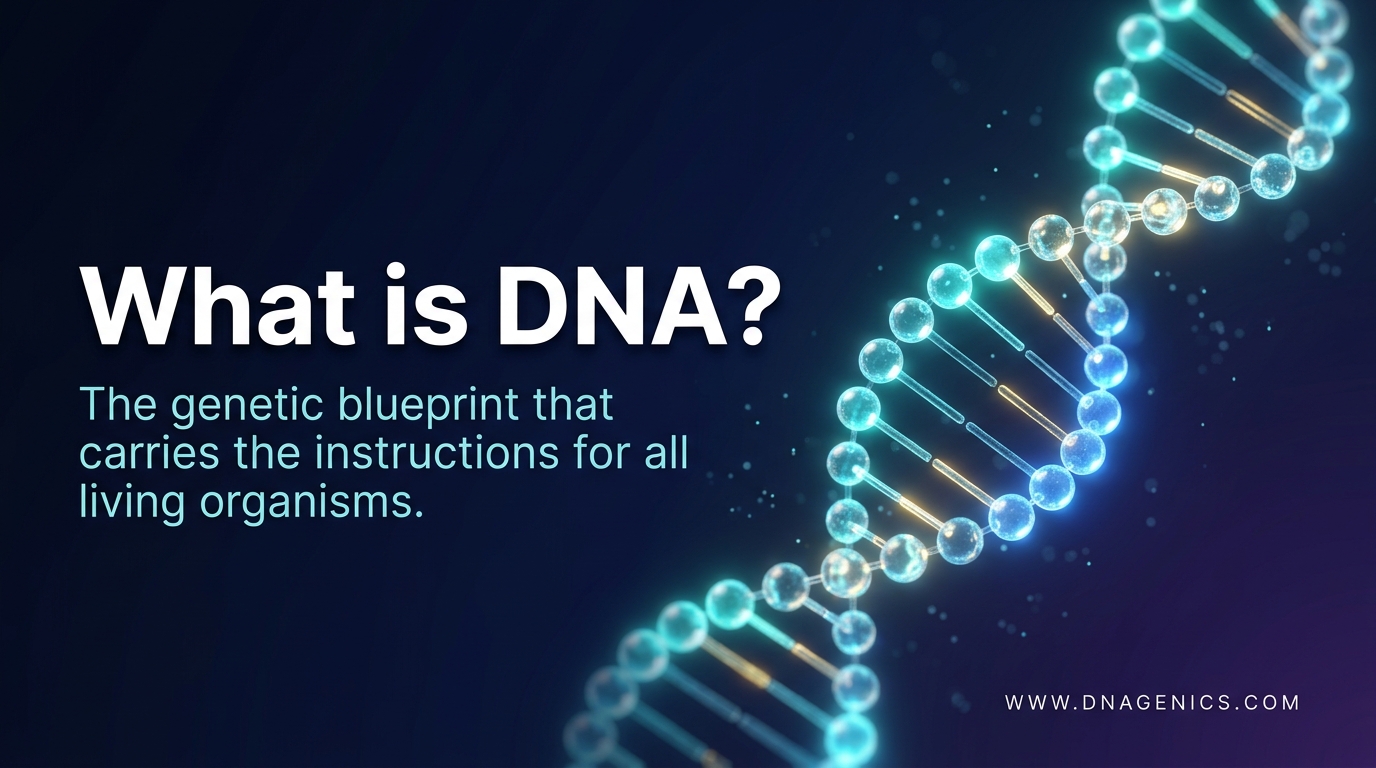 Cover image for What is DNA?