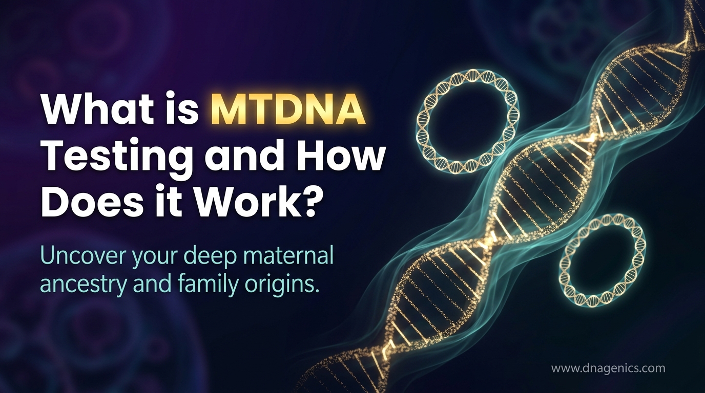 Cover image for What is MTDNA Testing and How Does it Work?
