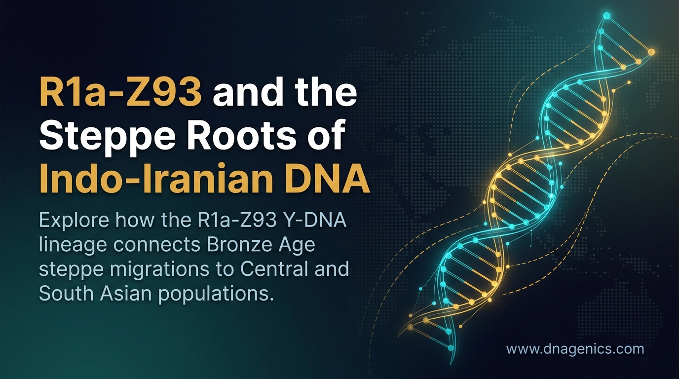 Illustration of a Bronze Age steppe migration route linked to the R1a-Z93 Y-DNA haplogroup
