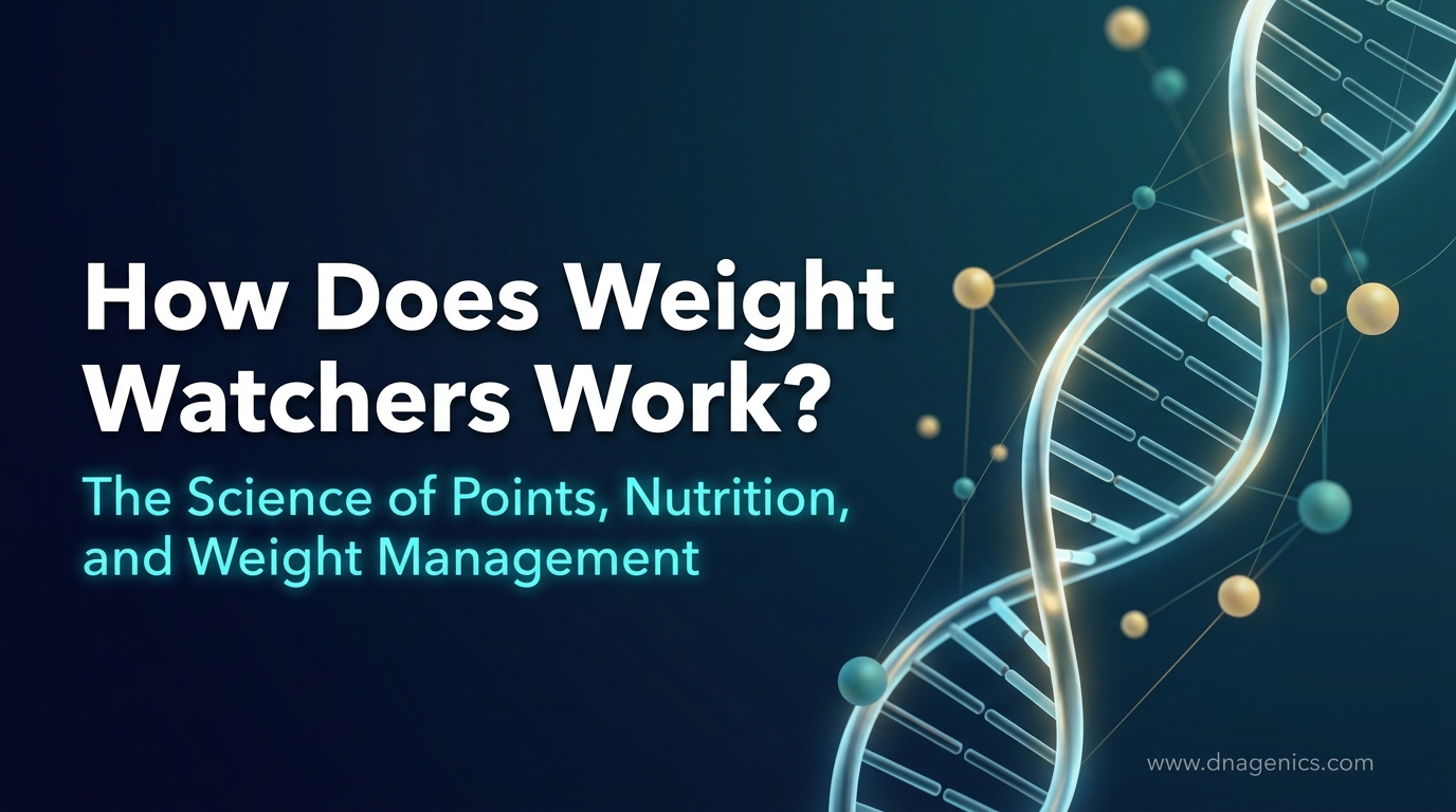 Cover image for How Does Weight Watchers Work?