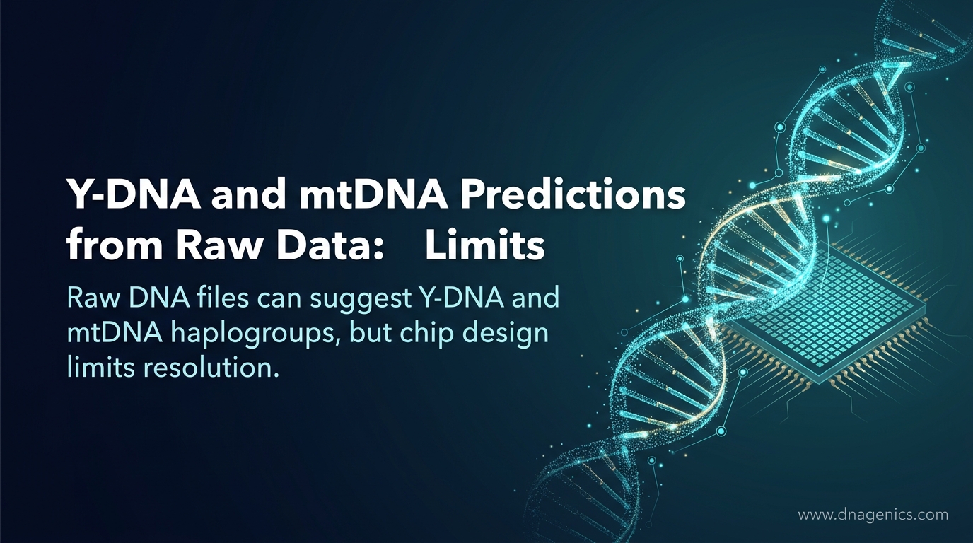 DNA ancestry researcher reviewing Y-DNA and mtDNA haplogroup predictions from raw data