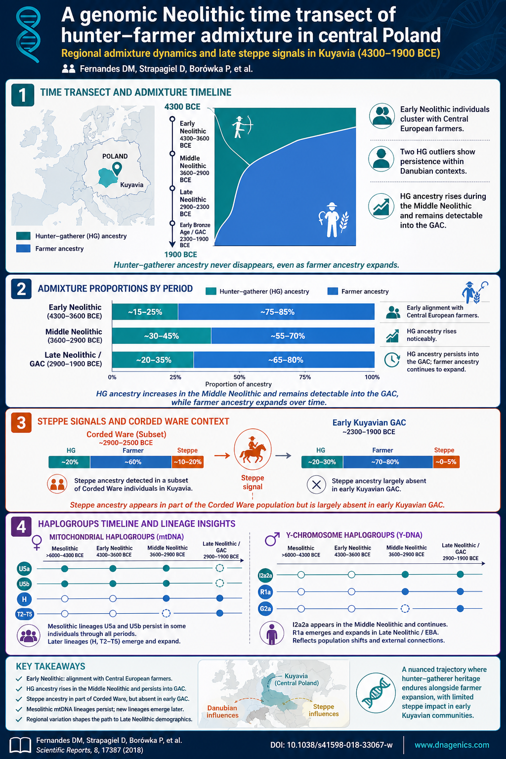 DNA ancestry infographic showing Neolithic hunter-farmer admixture in Kuyavia