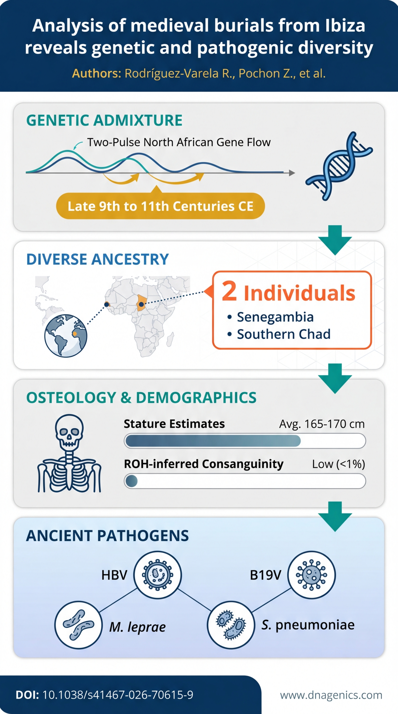 Genome-wide Ibiza medieval DNA mosaic showing North African admixture