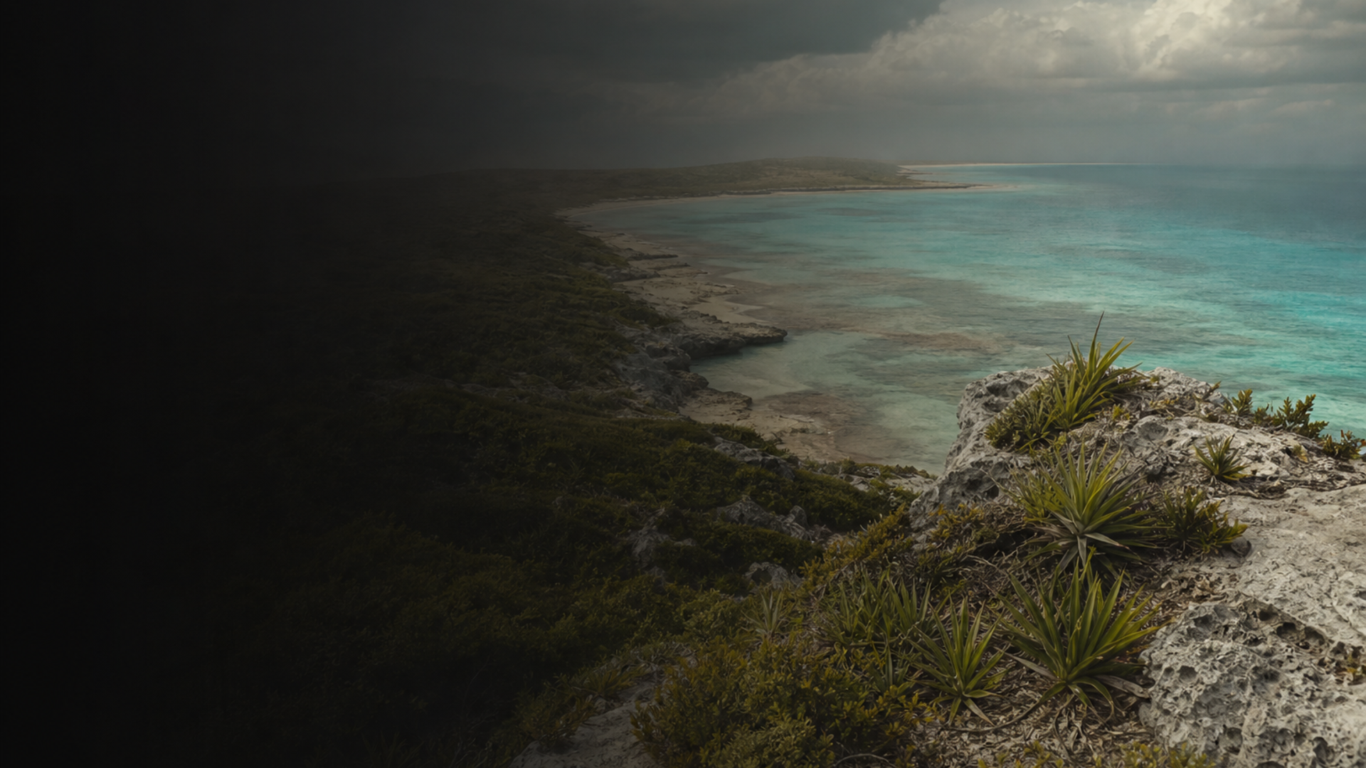 Abaco Ceramic Islanders