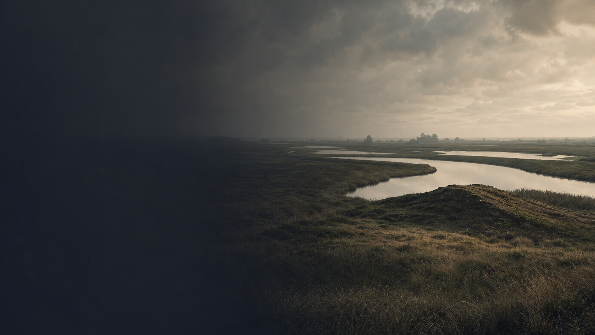 Bell Beaker Echoes: Molenaarsgraaf