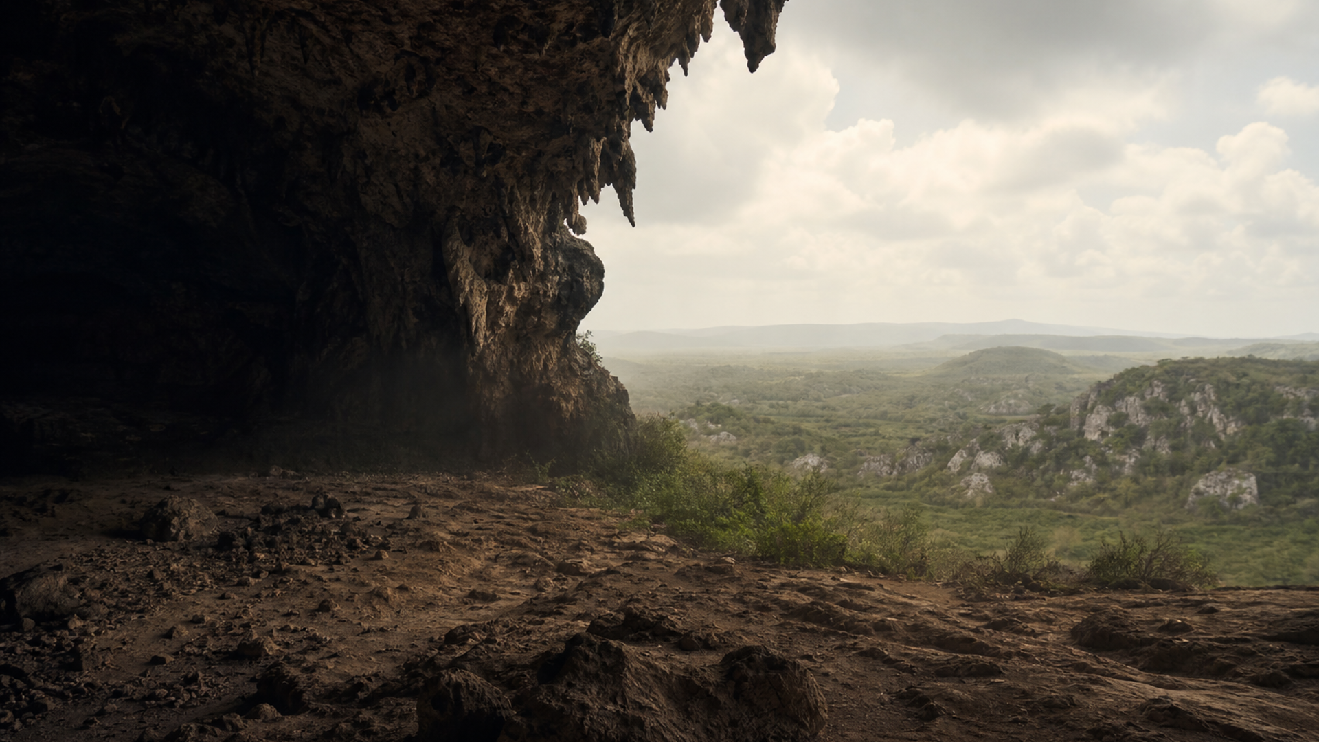 Canimar Abajo Archaic — Island Foragers
