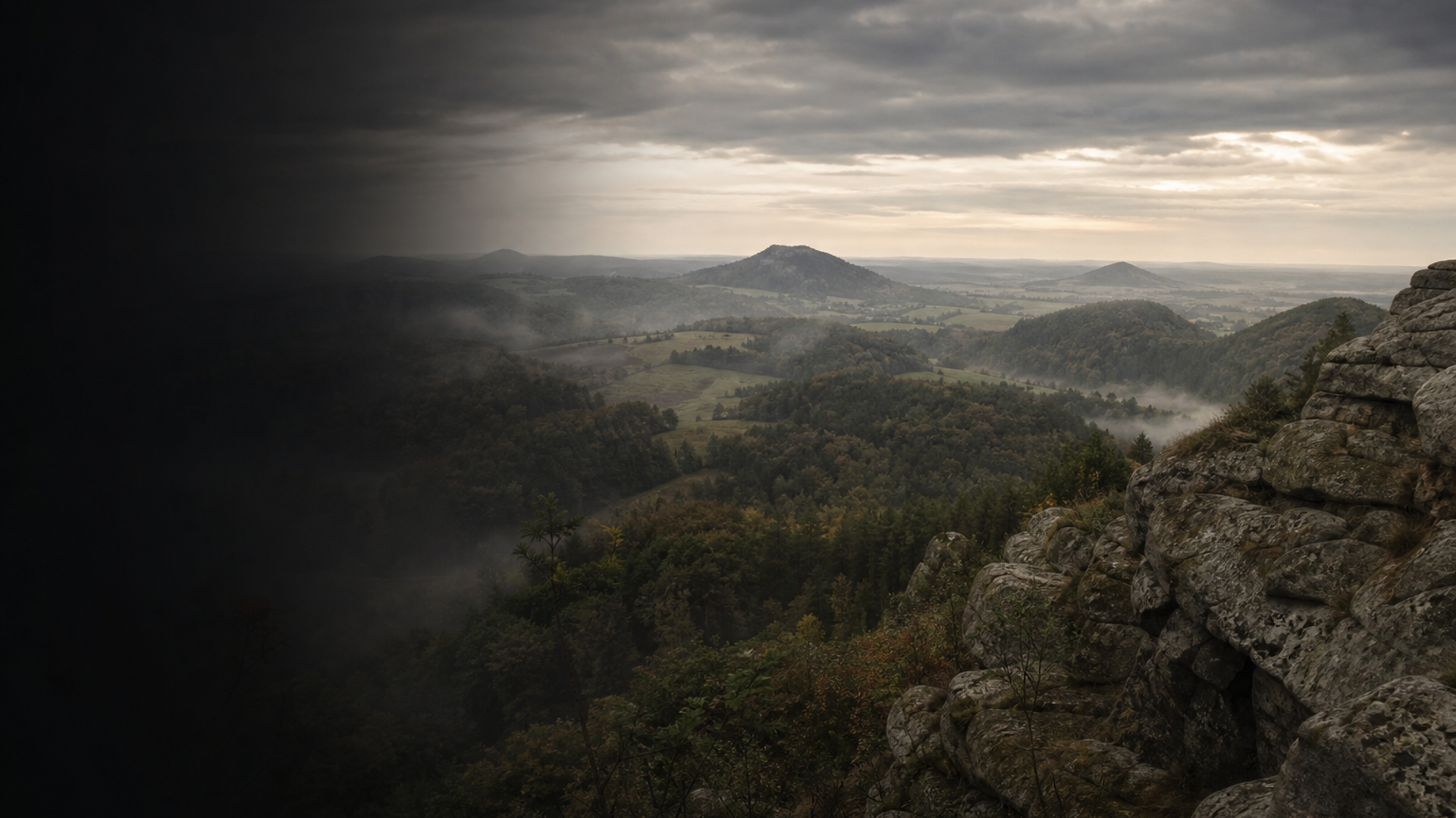 Echoes of Bohemia: Modern Czech DNA