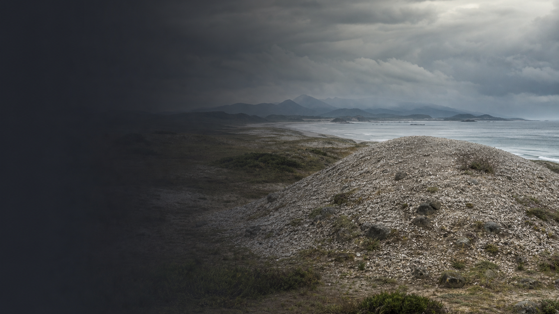 Galheta IV Sambaqui: Coastal Ancestor