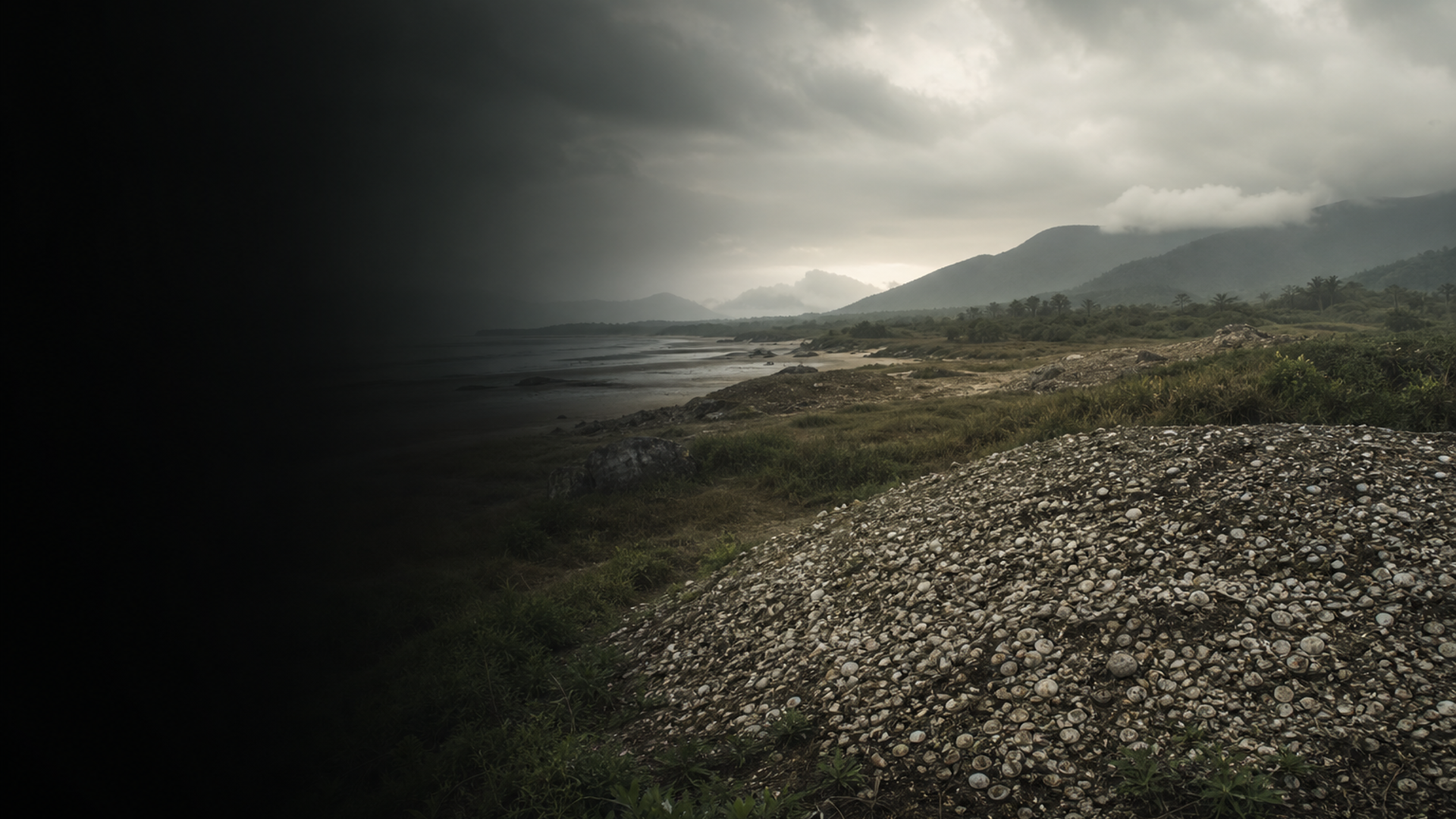 Jabuticabeira II: Shell-Mound People