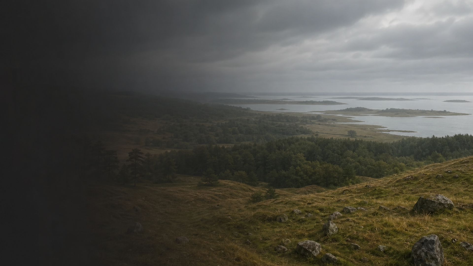 Modern Estonia — Living Threads