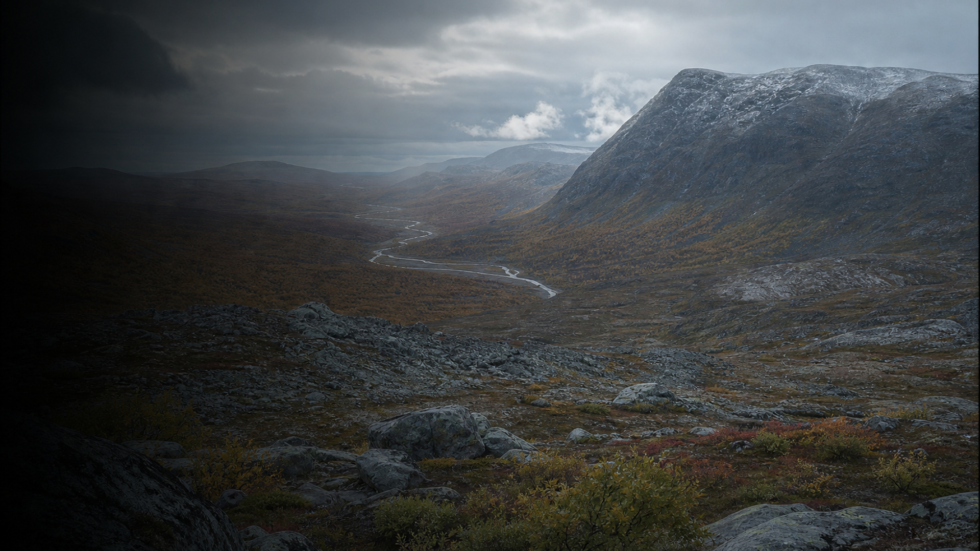 Modern Finland: Living Landscape
