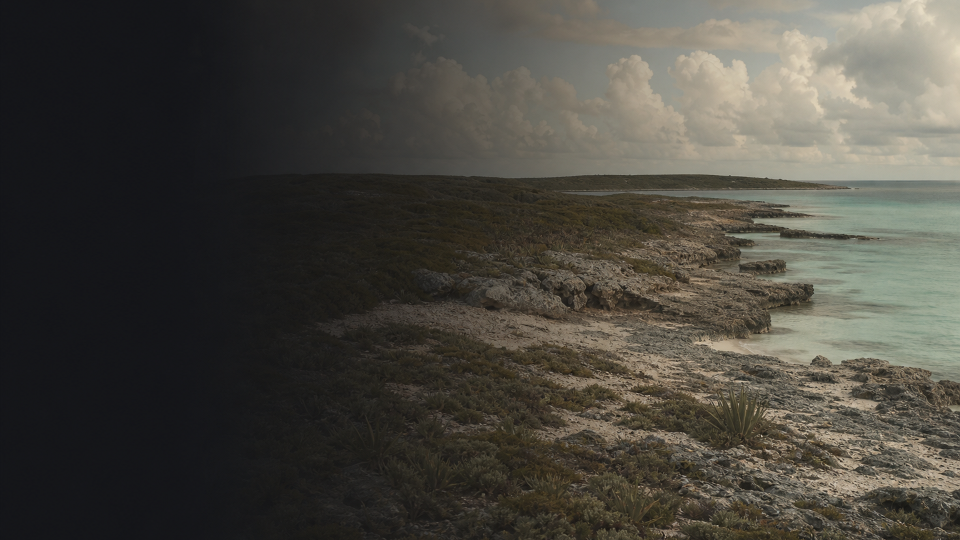Ragged Island Ceramic — Flamingo Cay