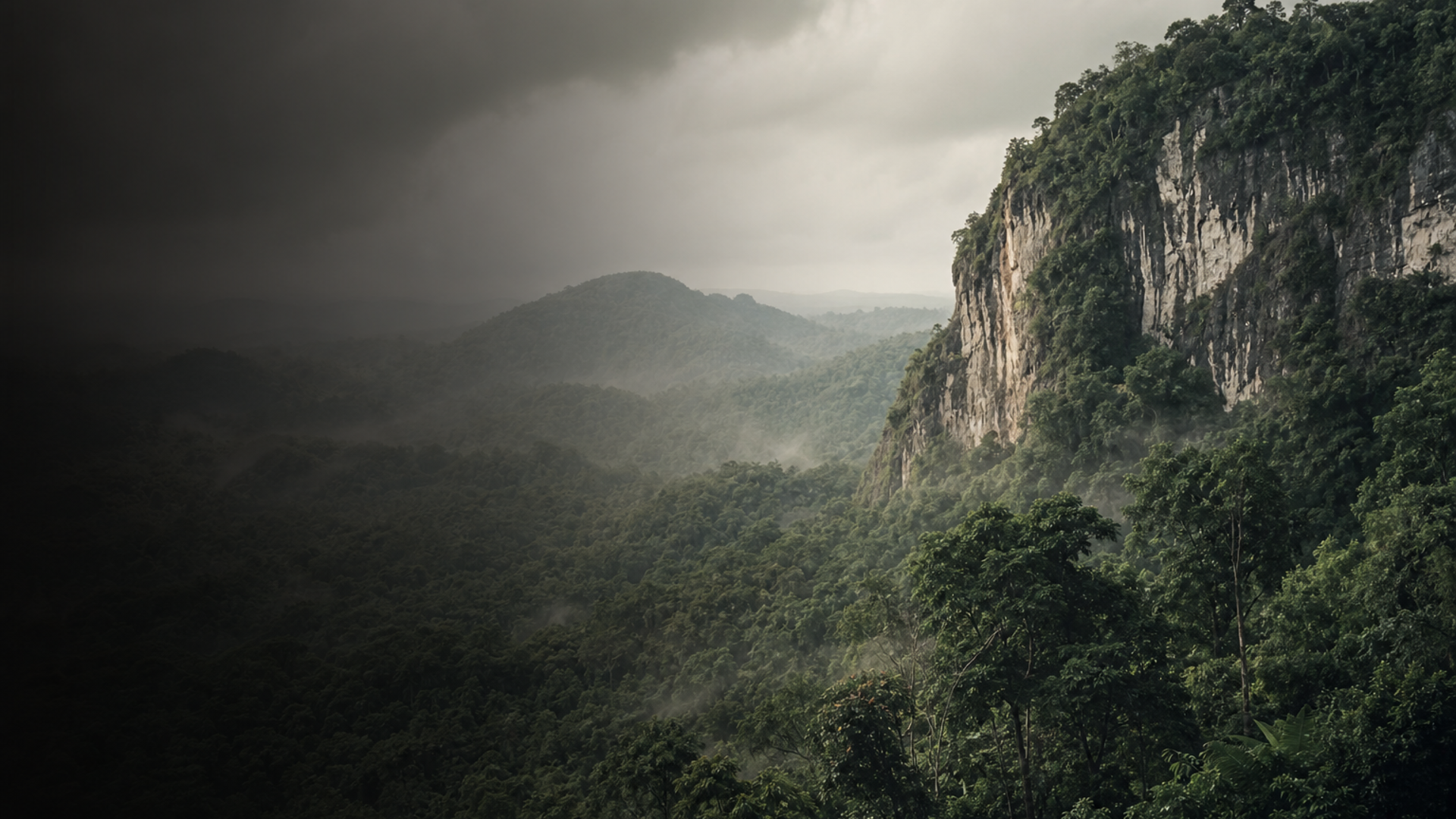 Rainforest Ancestors of Belize