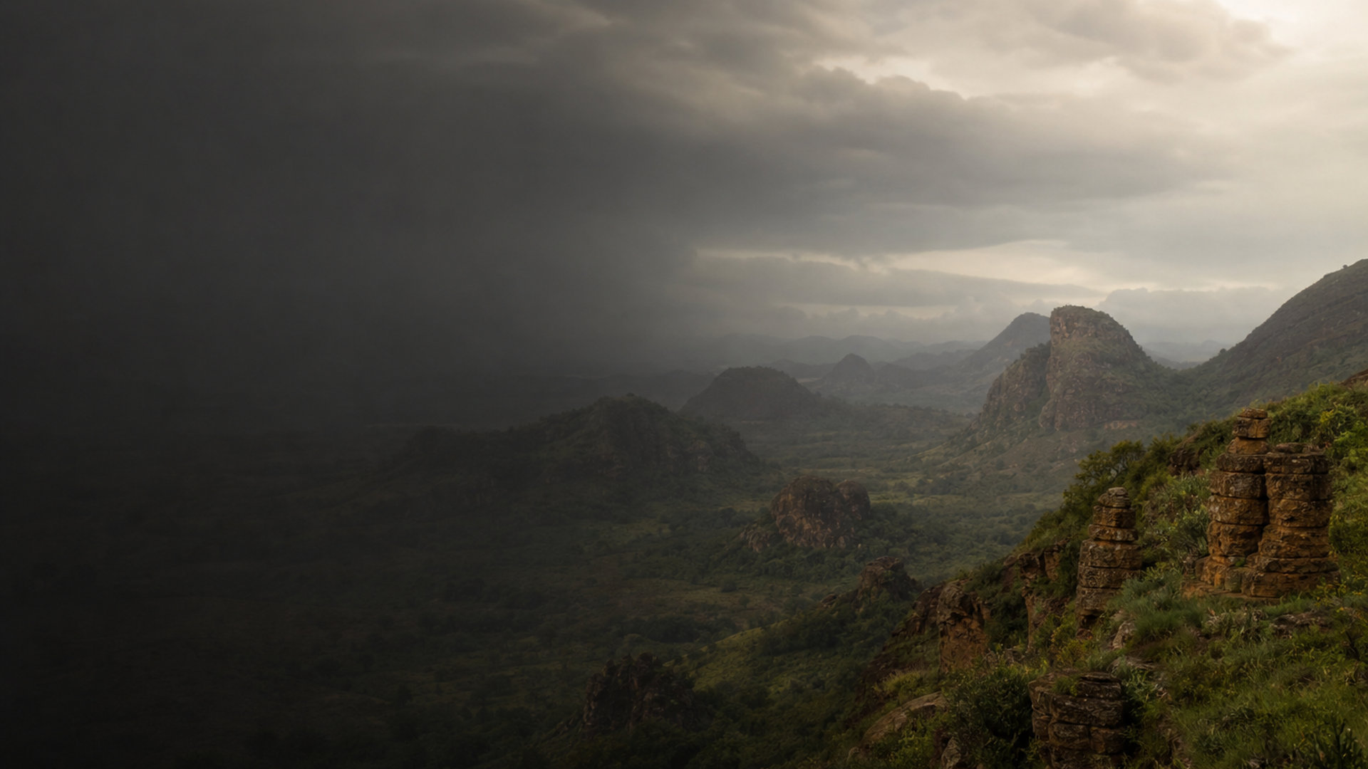 Voices of Modern Cameroon