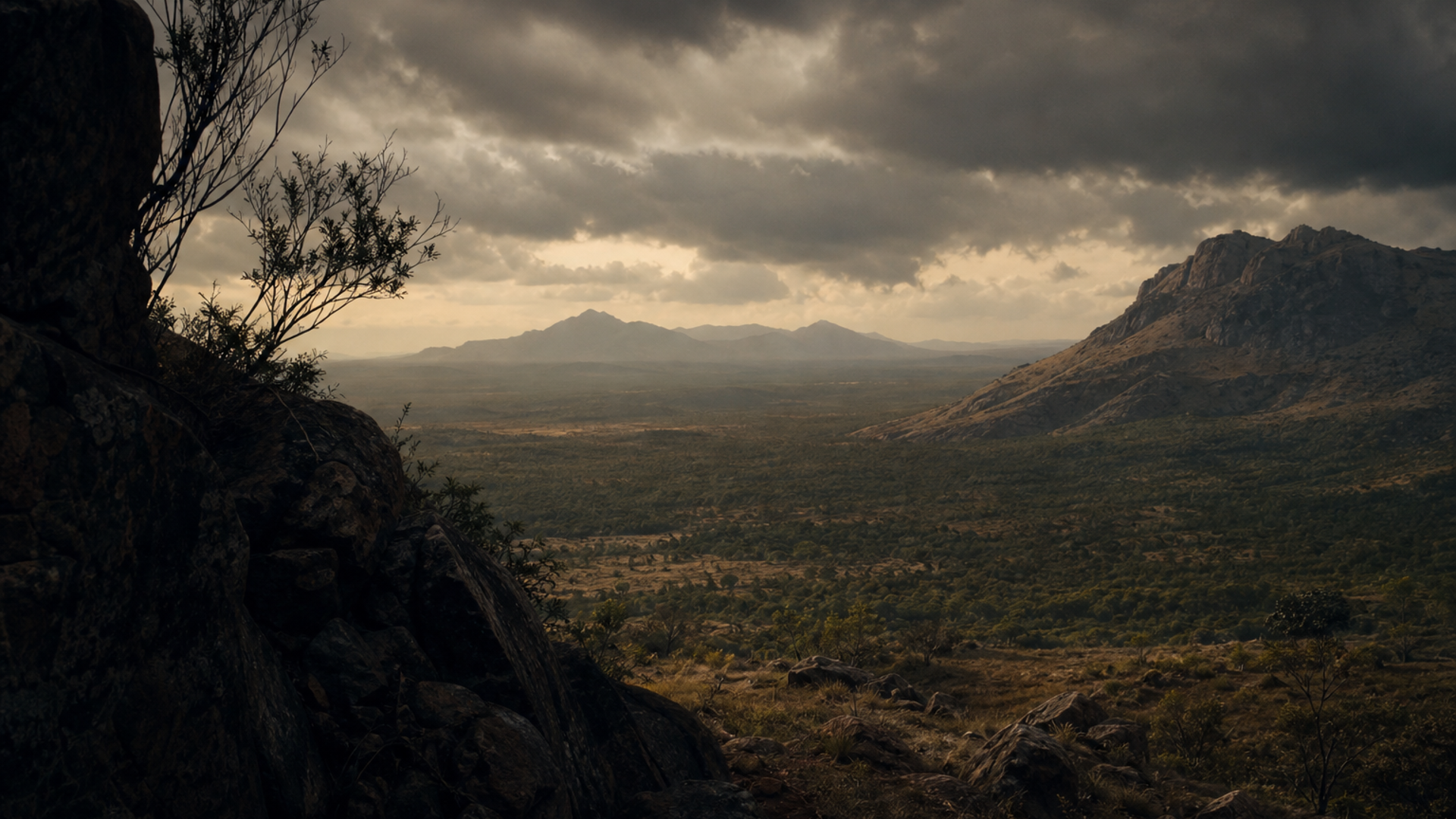 Voices of North Queensland