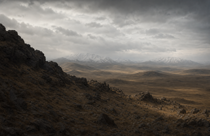 Central Saka of the Tian Shan