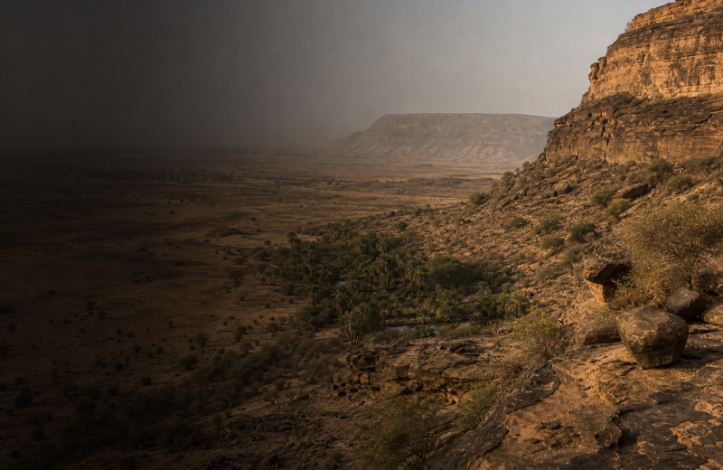 Echoes of Modern Senegal