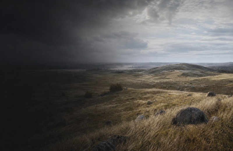 Estonia Corded Ware: Steppe Echoes