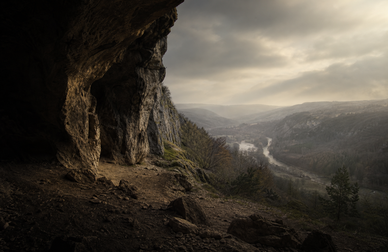 Goyet Q53-1: A Paleolithic Portrait