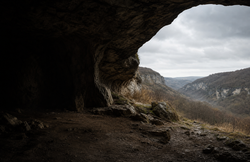 Goyet Q56-16: A Paleolithic Voice