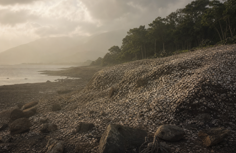 Limão Sambaqui: Shells, Shores, and Stories