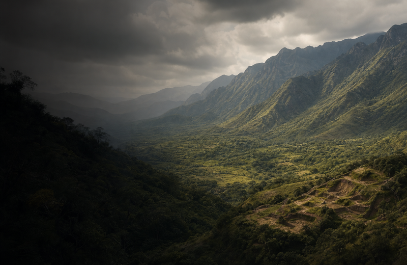 Medellín Mosaic: Modern Colombia DNA