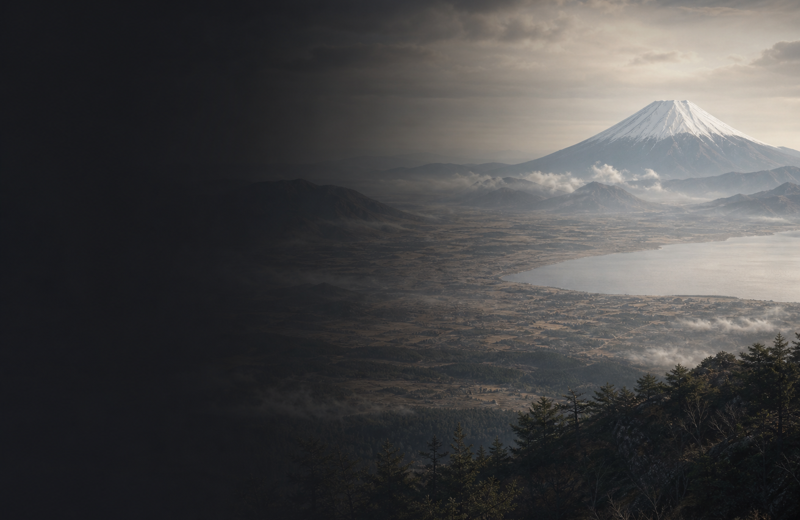 Modern Japan: A Genetic Snapshot