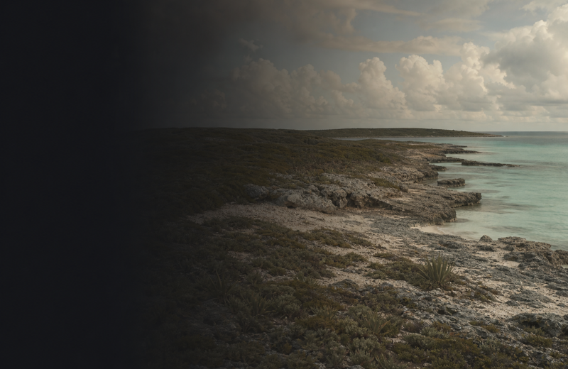 Ragged Island Ceramic — Flamingo Cay