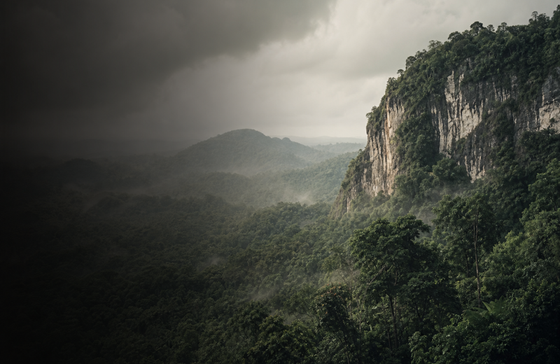 Rainforest Ancestors of Belize