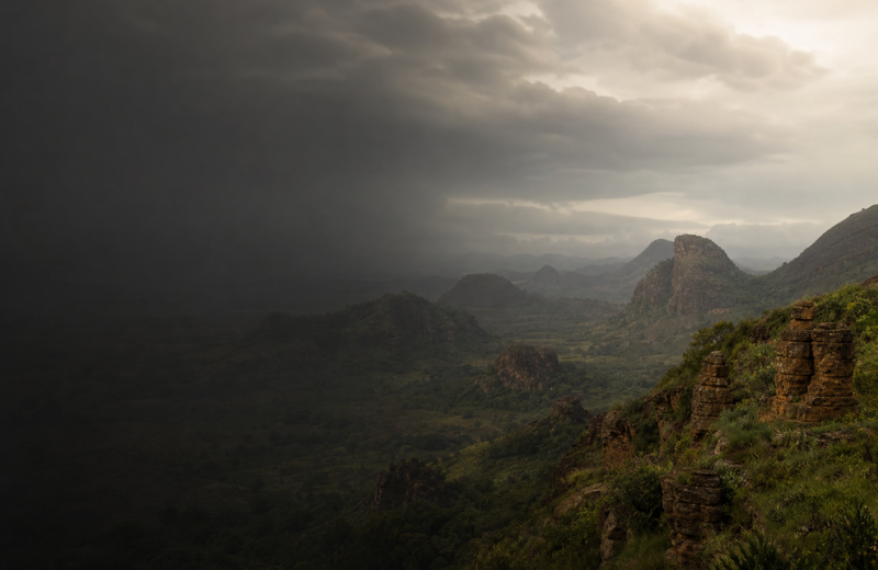Voices of Modern Cameroon