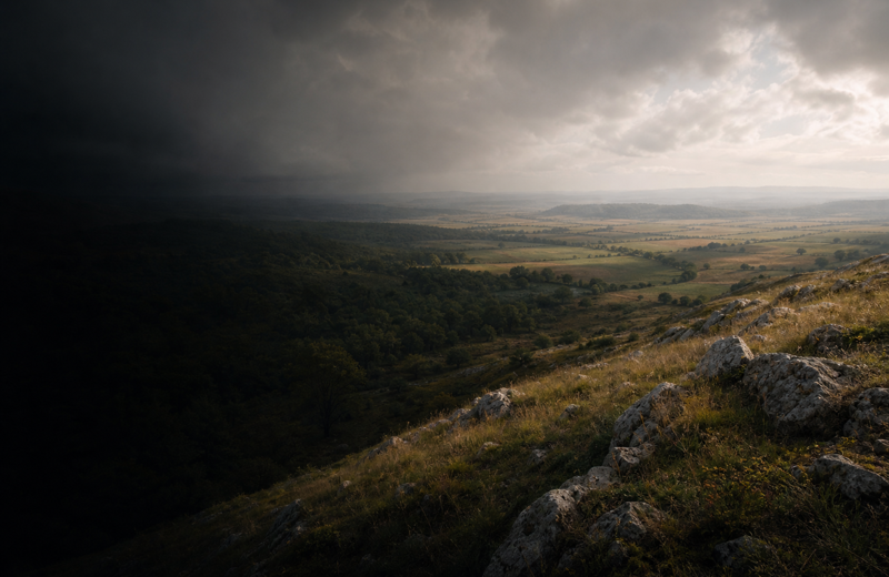 Whispers of La Tène in Lower Austria